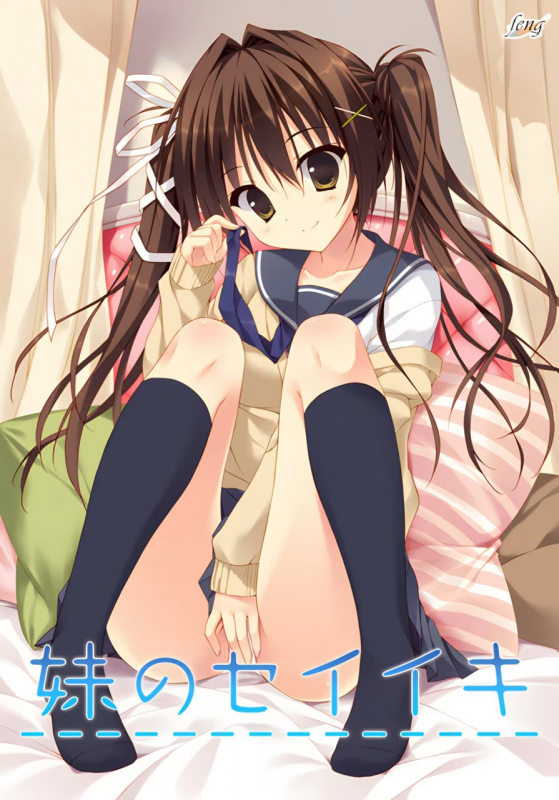 【ADV/PC+安卓】妹的圣域 – 妹のセイイキ-H萌Gal