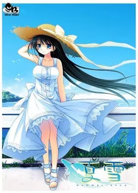 【ADV/PC+安卓】夏雪～summer_snow～-H萌Gal