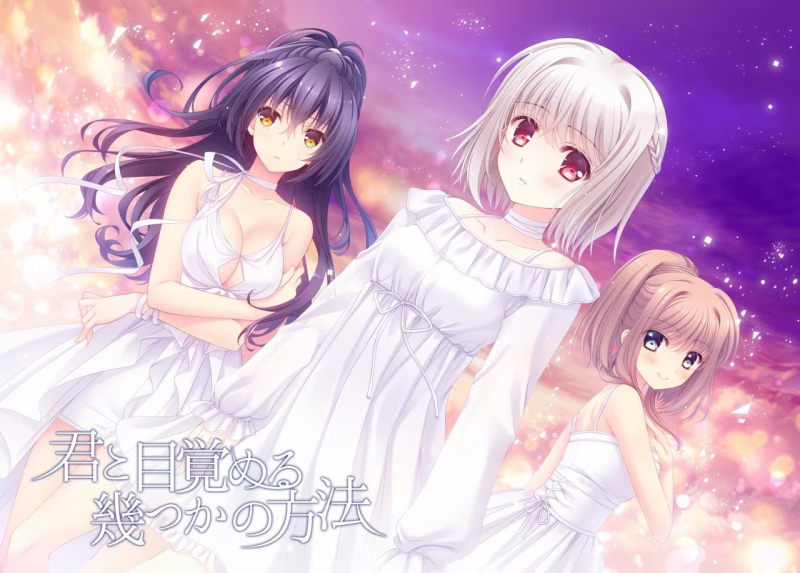 【ADV/PC】与你一起醒来的若干方法 – 君と目覚める幾つかの方法-H萌Gal