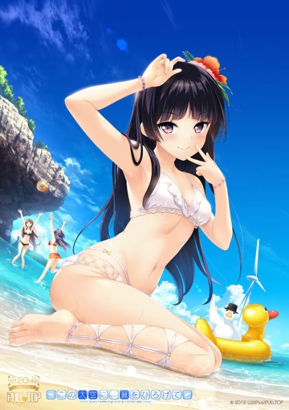 【ADV/PC】在这苍穹展翅 Gift Edition Kotori – この大空に、翼をひろげて GIFT EDITION 小鳥Ver-H萌Gal