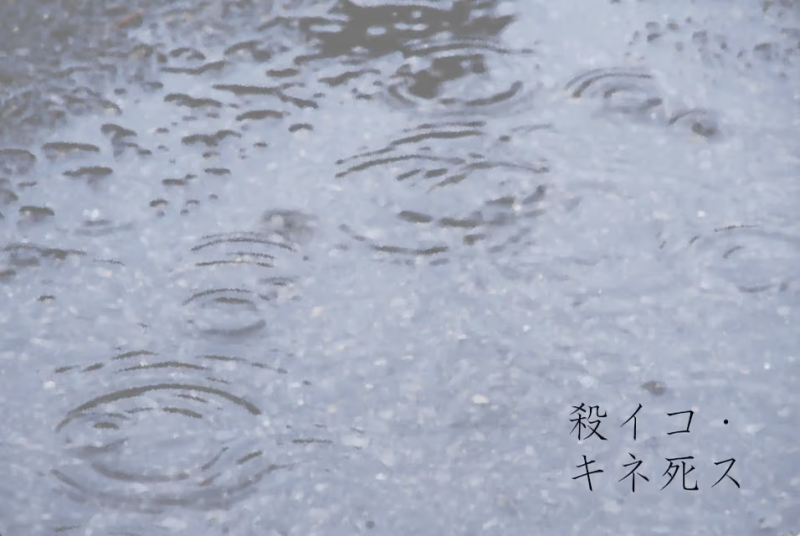 【ADV/PC】殺イコ・キネ死ス-H萌Gal