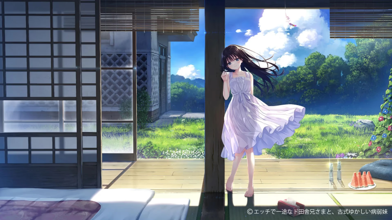 【ADV/PC+安卓】痴情哥哥与病弱妹妹的乡间生活-H萌Gal