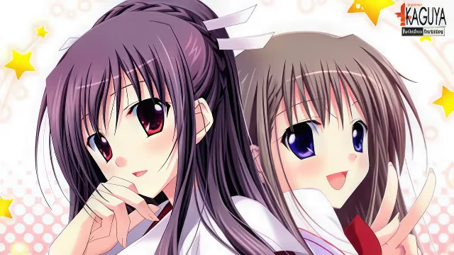 【ADV/PC】プリ☆さら～ドキドキ×らぶらぶWファンディスク～-H萌Gal