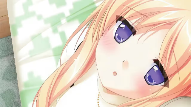 【ADV/PC】はぴとら 外伝 アイナの新婚日記-H萌Gal