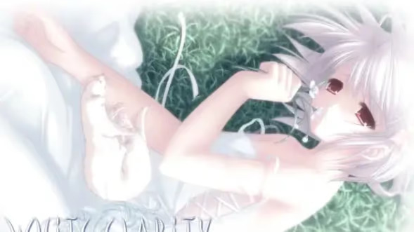 【ADV/PC/生肉】WHITE CLARITY-H萌Gal