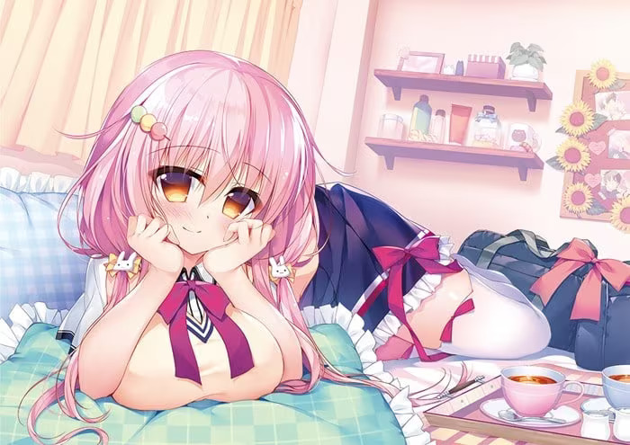 【ADV/PC+安卓】恋爱定位x同居x后辈-H萌Gal