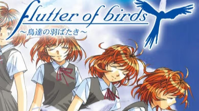 【ADV/PC/生肉】flutter of birds～鳥達の羽ばたき～-H萌Gal