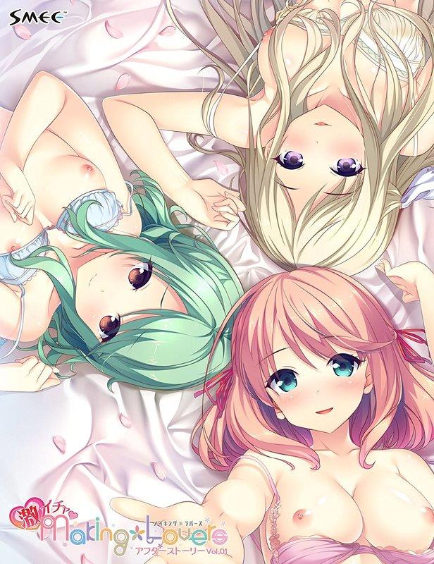 【ADV/PC】Making＊Lovers 激イチャアフターストーリー Vol.01-H萌Gal