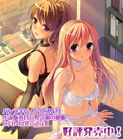 【ADV/PC】黄昏に煌く銀の繰眼-H萌Gal