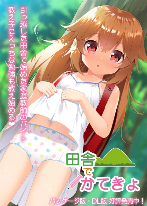 【ADV/PC+安卓】乡村家教 - 田舎でかてきょ-H萌Gal