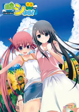【ADV/PC】田舎でシよう! 鳥取編 －ボクと妹たちの夏休み－-H萌Gal